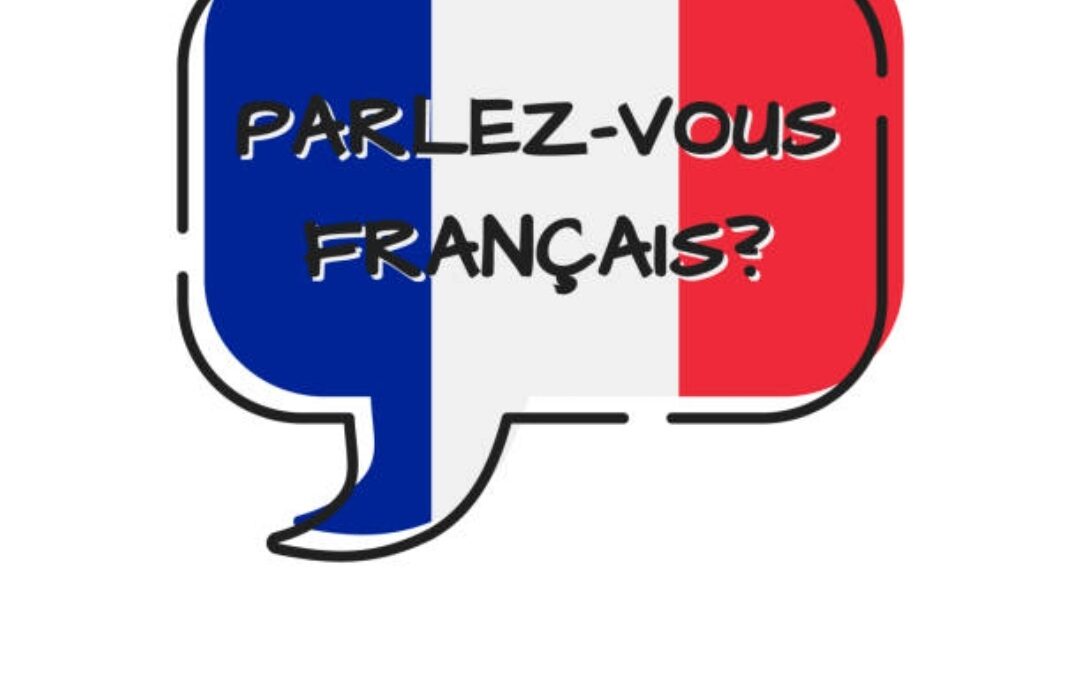Припремна настава из француског језика